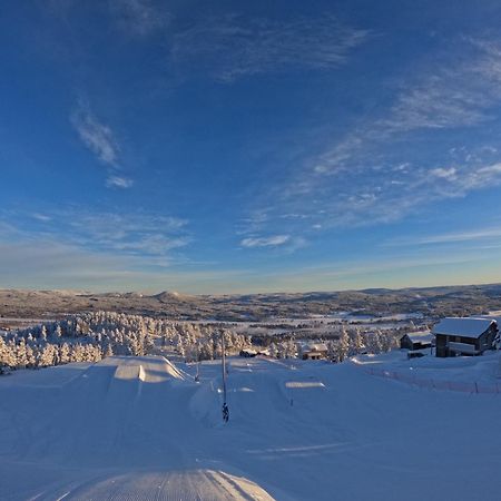 Toppvillan - Ski In - Ski Out - 200 M Till Toppen Och Cykelleder Jarvso Ngoại thất bức ảnh