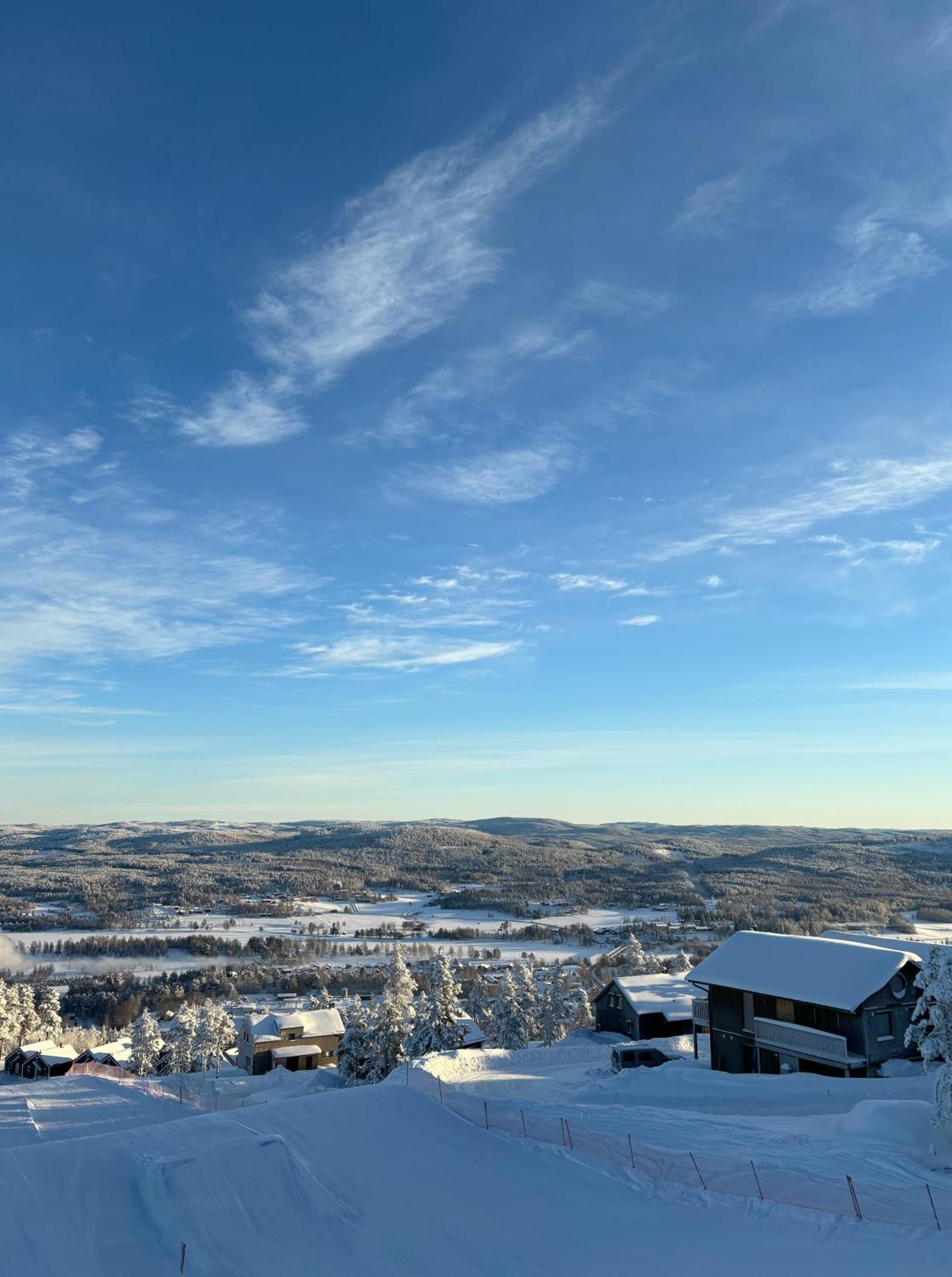 Toppvillan - Ski In - Ski Out - 200 M Till Toppen Och Cykelleder Jarvso Ngoại thất bức ảnh
