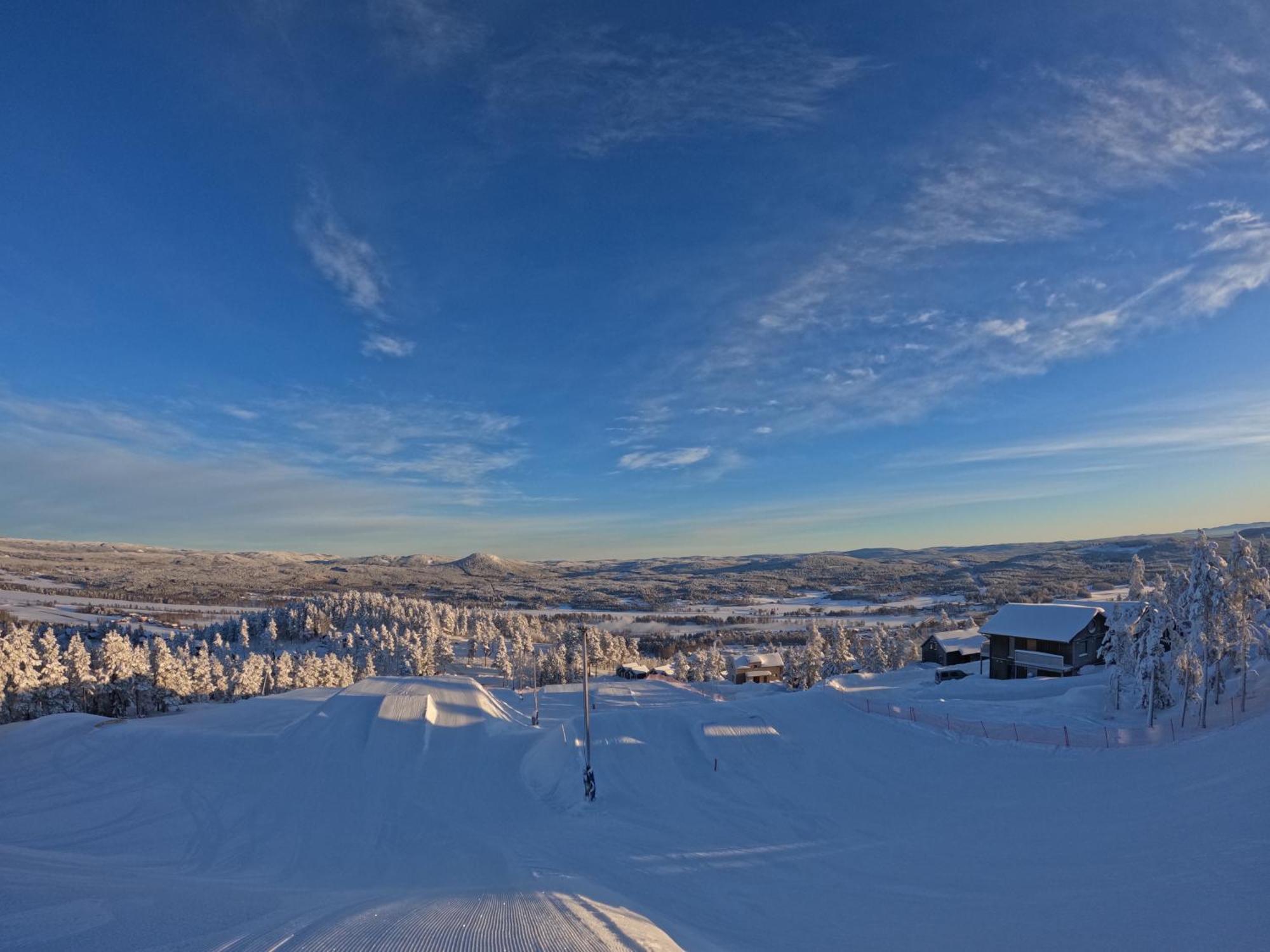 Toppvillan - Ski In - Ski Out - 200 M Till Toppen Och Cykelleder Jarvso Ngoại thất bức ảnh